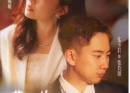 短剧《董事长的专职司机（51集）》短剧完整版免费畅享