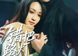 短剧《错把路灯当月光（40集）》短剧全集免费一键看