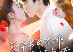 短剧《反骨弟弟不乖要轻点哄（106集）》短剧高清全集在线播放