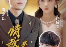 短剧《情敌原来是夫人（66集）》短剧全集免费在线赏