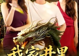 短剧《我家井里有条龙（80集）》经典短剧免费在线赏