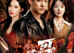 短剧《一哥（67集）》精彩短剧免费在线追剧