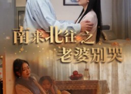 短剧《南来北往之老婆别哭（87集）》精彩短剧免费全集赏