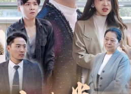 短剧《人生半载，重头再来（30集）》优质短剧全集免费追