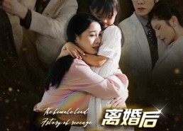 短剧《离婚后大佬前妻杀疯了（40集）》短剧全集免费高清看