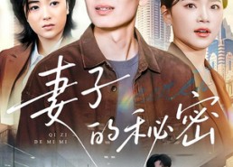 短剧《妻子的秘密（30集）》短剧全集在线无费享