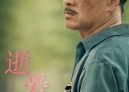 短剧《逝爱难寻（76集）》高分短剧免费全集在线览