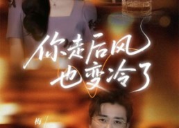 短剧《你走后风也变冷了（73集）》短剧免费畅享高清版