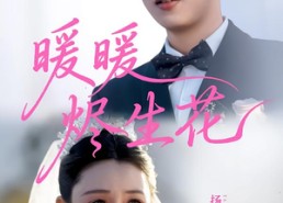 短剧《暖暖烬生花（65集）》免费短剧全集高清观看