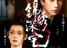 短剧《锦绣深宅（61集）》精彩短剧在线不卡顿