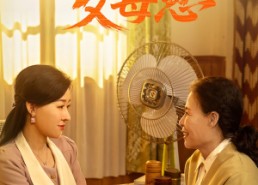 短剧《再跪父母恩（42集）》优质短剧完整版在线赏