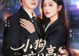 短剧《小狗咬月亮（66集）》超火短剧完整免费观看