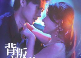 短剧《背叛之后的闪耀人生（65集）》短剧免费全集畅快览