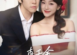 短剧《真千金靠名场面逆袭（71集）》免费短剧全集随心看