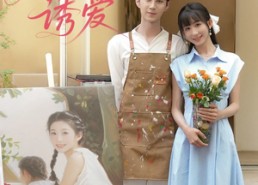 短剧《赔婚诱爱（81集）》免费短剧在线高清看