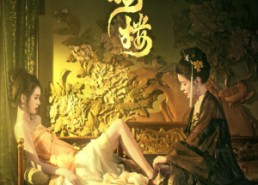 短剧《金枝楼（52集）》短剧完整版在线速看