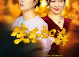 短剧《生不如养（59集）》短剧全集免费高清观看