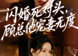 短剧《闪婚死对头，顾总他宠妻无度（90集）》短剧免费在线全集欣赏