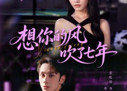 短剧《想你的风吹了七年（82集）》免费短剧完整版观看