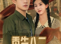 短剧《重生八二，从搞定丈母娘开始（67集）》爆款短剧全集免费畅享