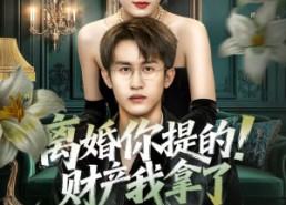 短剧《离婚你提的！财产我拿了（63集）》热门短剧在线高清观看