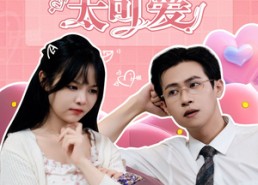 短剧《萌新杀手太可爱（75集）》短剧佳作免费全集欣赏