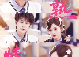 短剧《半熟情侣（85集）》热门短剧免费在线追