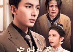 短剧《家财散尽，儿子也要护我（60集）》短剧全集免费在线追