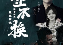 短剧《金不换（32集）》短剧全集免费在线赏