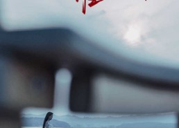 短剧《全世界谁倾听你（30集）》免费短剧全集一键观