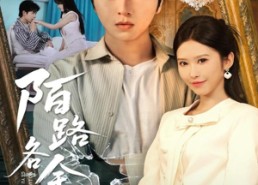 短剧《陌路各余生（65集）》短剧全集在线高清播放