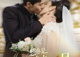 短剧《想你是三分泉水七分月（84集）》免费短剧高清全集观