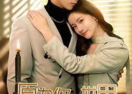 短剧《愿为你的世界举烽火（70集）》短剧全集高清免费欣赏