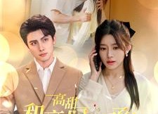 短剧《高甜和豪门继承人拼个婚（102集）》爆款短剧全集免费放映