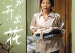 短剧《离别开出花（33集）》短剧无删减免费追剧