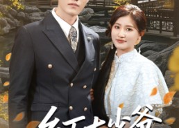 短剧《乡下大少爷来自古代（65集）》短剧全集免费畅快追