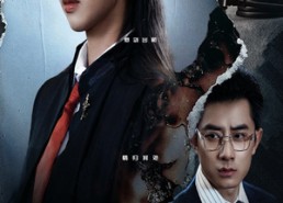 短剧《亲爱的律师小姐（50集）》短剧全集免费随心观看