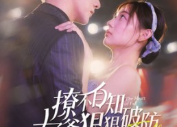 短剧《撩不自知太子爷狠狠破防（100集）》超长短剧全集免费览