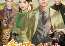 短剧《重生70，千亩大山都是我的猎场（85集）》超火短剧全集免费赏