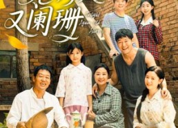 短剧《旧巷灯火又阑珊（66集）》免费短剧全集随心看