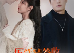 短剧《历总，请签收你的龙凤胎（69集）》短剧免费全集畅快看