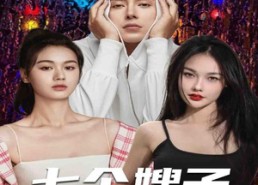 短剧《七个嫂子独宠我（100集）》短剧全集免费一键观看