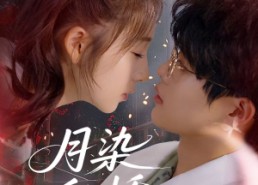 短剧《月染私桥（82集）》短剧全集无删减看