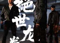 短剧《绝世龙拳（32集）》短剧高清全集免费播