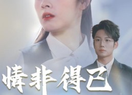 短剧《情非得已（30集）》短剧免费全集高清播放