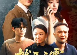 短剧《拨开云雾见天明（29集）》短剧免费资源在线播放