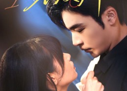 短剧《星辰璀璨不及卿（64集）》短剧全集免费在线赏玩