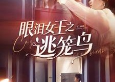 短剧《眼泪女王之逃笼鸟（89集）》热门短剧全集免费观
