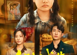 短剧《久别不成悲（60集）》热门短剧完整版速看