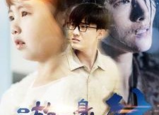 短剧《游子身上针（100集）》热门短剧全集免费享